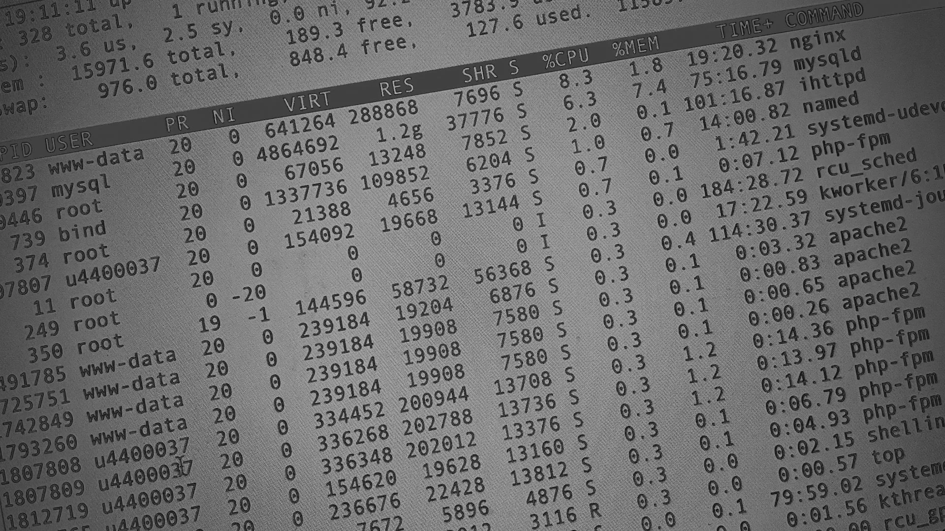 Настройка сервера в Донском