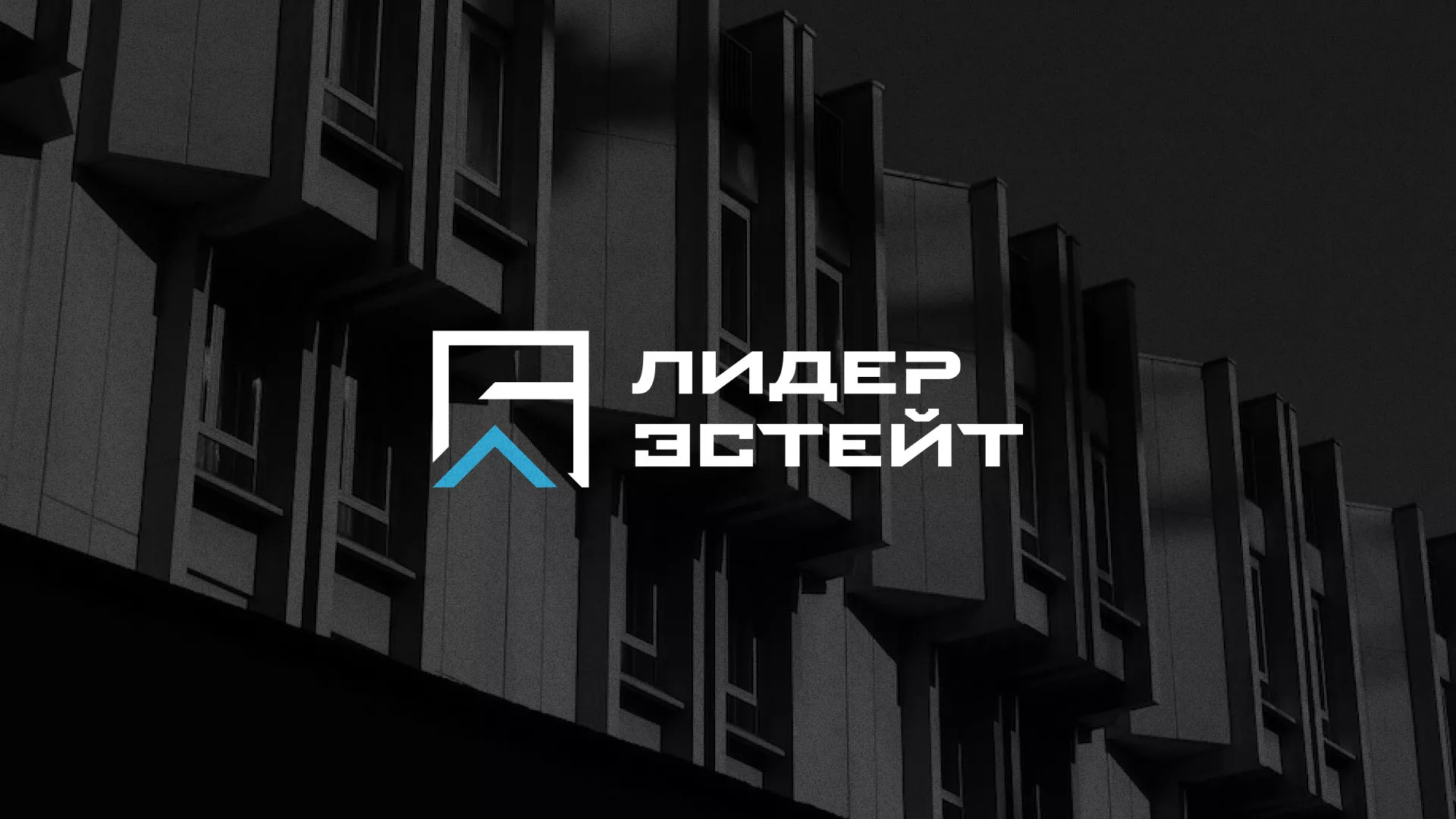 Разработка логотипа агентства недвижимости «Лидер Эстейт» в Донском